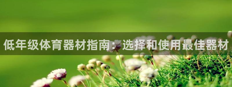 极悦平台注册流程图：低年级体育器材指南：选择和使用最