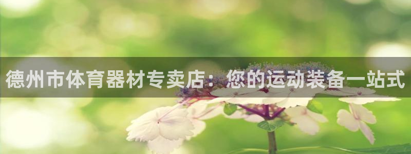 极悦平台官方网站入口：德州市体育器材专卖店：您的运动