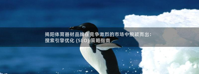 极悦平台代理：揭阳体育器材品牌在竞争激烈的市场中脱颖