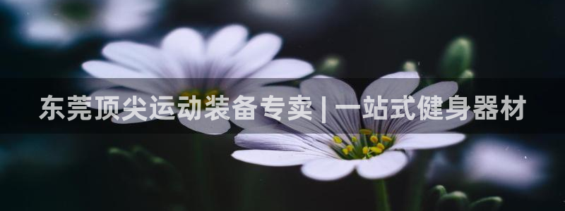 极悦娱乐代理怎么样知乎：东莞顶尖运动装备专卖 | 一