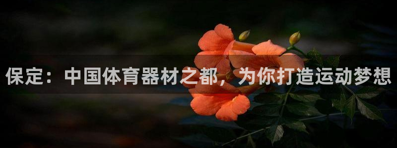极悦娱乐的背景和历史背景介绍：保定：中国体育器材之都