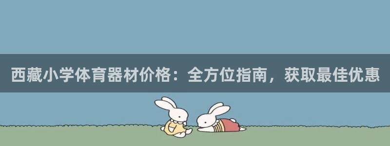 极悦平台的注册流程及注意事项有哪些：西藏小学体育器材