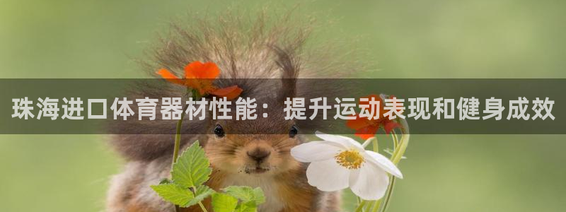 极悦官网首页登录入口网址：珠海进口体育器材性能：提升运动表现
