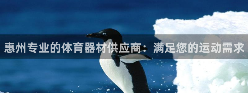 极悦娱乐贴吧最新消息：惠州专业的体育器材供应商：满足您的运动