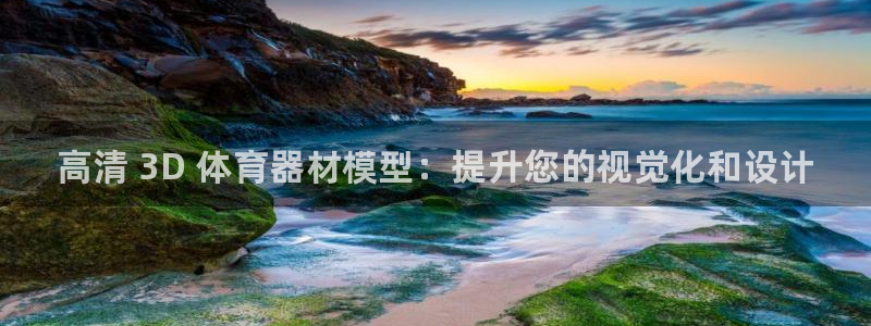 极悦平台官网登录入口手机版：高清 3D 体育器材模型：提升您