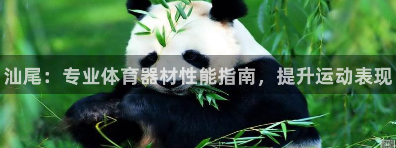 加盟极悦教育怎么样：汕尾：专业体育器材性能指南，提升