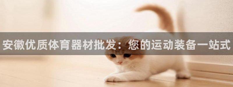 极悦官网注册最新版本更新内容在哪：安徽优质体育器材批