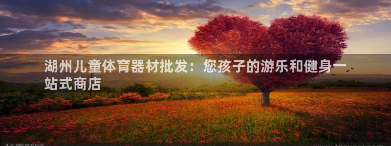 极悦平台德711.112的更新内容：湖州儿童体育器材批发：您