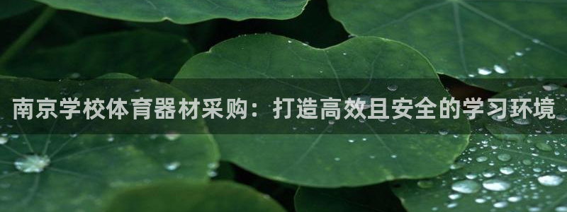 极悦平台官网入口：南京学校体育器材采购：打造高效且安全的学习