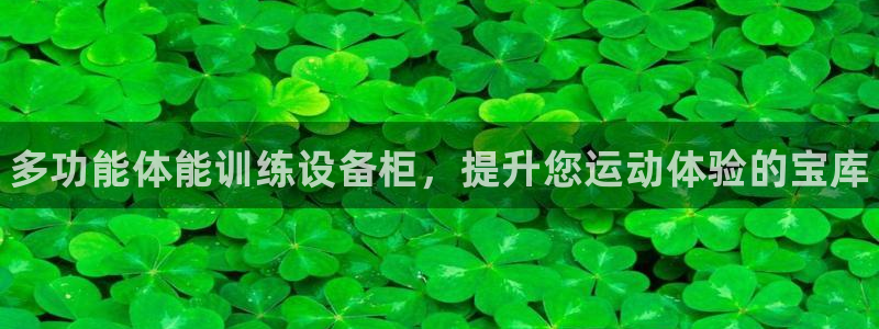 极悦平台是正规平台吗：多功能体能训练设备柜，提升您运动体验的