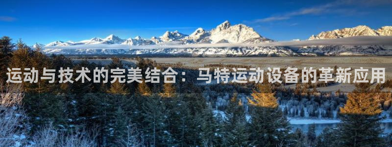 极悦平台安全吗可靠吗：运动与技术的完美结合：马特运动设备的革