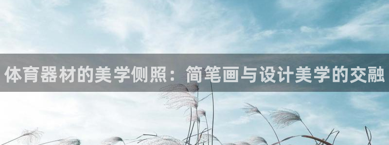 极悦平台客服的联系方式是：体育器材的美学侧照：简笔画与设计美