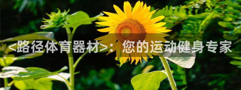 加盟极悦教育怎么样：<路径体育器材>：您的运动健身专