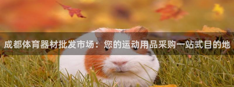 极悦娱乐会被骗吗知乎小说：成都体育器材批发市场：您的