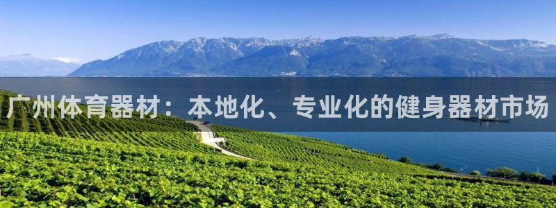 极悦平台官网登录不了了