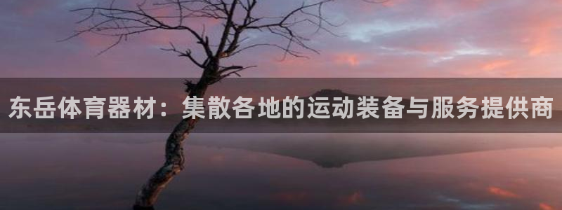 极悦平台注册用户名验证不了