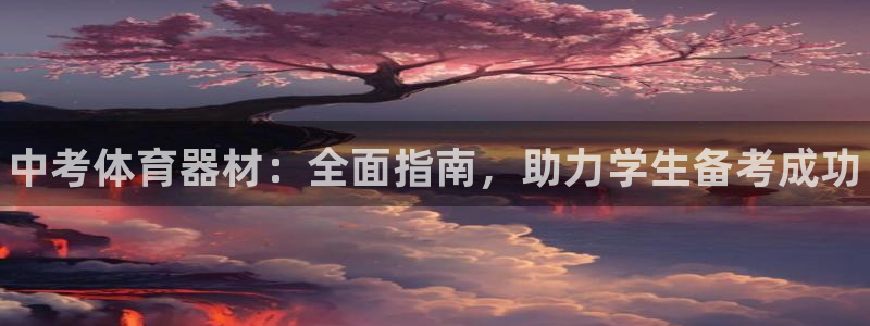 极悦平台注册：中考体育器材：全面指南，助力学生备考成