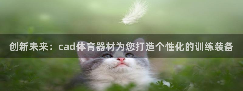 极悦平台注册官方网站下载手机版：创新未来：cad体育