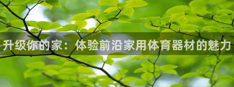 极悦平台注册登录不了：升级你的家：体验前沿家用体育器材的魅力